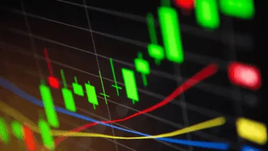 Kryptomarkt im Aufwind: BNB erreicht neuen Rekordpreis