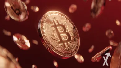 Krypto-Crash: Marktbereinigung oder Chance für Investoren?