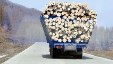 XRP im Abwärtssog: Inflationsbericht und Handelskrieg belasten