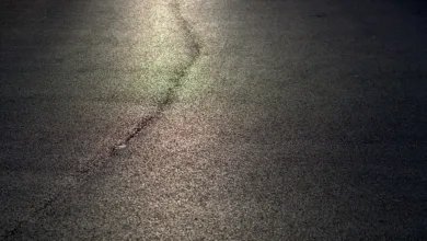 Kryptowährungen neu denken: LTCCloudMining im Fokus