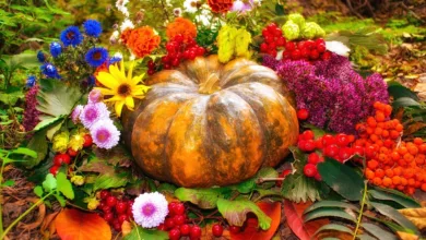 Krypto-Vorverkäufe im Oktober: Vier starke Empfehlungen