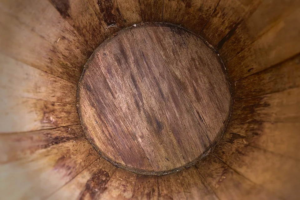 Bitpanda und SG-FORGE: Neue geldwerte Chancen für Europa