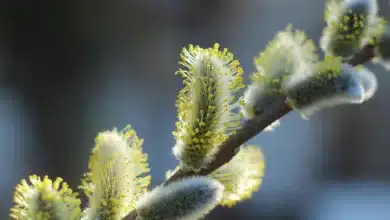 Coinbase wagt den Neuanfang: B2B-Zukunft in stürmischen Zeiten