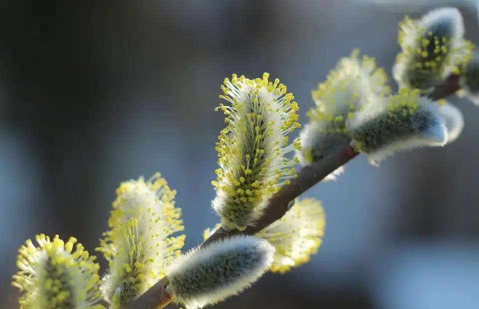 Coinbase wagt den Neuanfang: B2B-Zukunft in stürmischen Zeiten