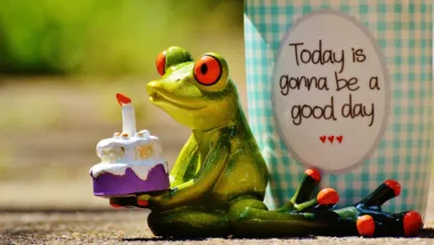 Optimismus im Kryptomarkt: Investoren setzen auf Wachstum