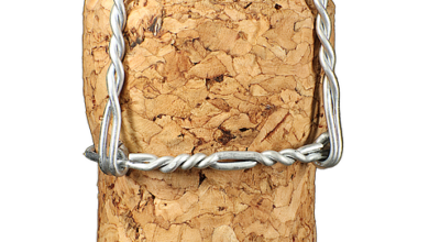 Krypto-Märkte unter Druck: Trumps Zölle und massive Verluste