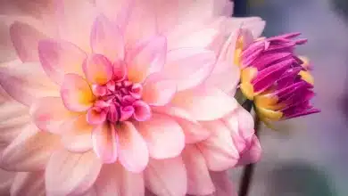 Krypto-Markt im Aufwind: Bitcoin und Ethereum wachsen weiter