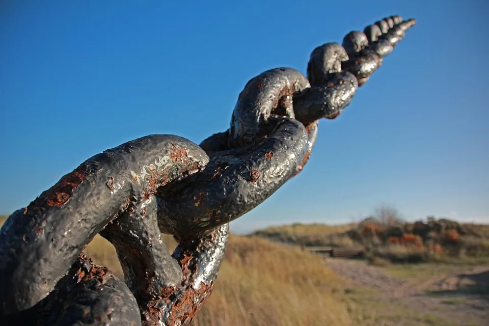 Memecoin-Hype auf der BNB Chain: Ein kurzes Spektakel