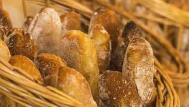 Einnahmen der Krypto-Netzwerke fallen: Ein Rückblick auf September