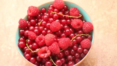 MoonBull: Die Krypto-Investition des Jahres 2025