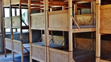 Kryptomärkte erleiden schlimmsten Tag ihrer Geschichte