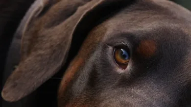 Binance-Krise: Vertrauen schwindet, Nutzer ziehen Geld ab