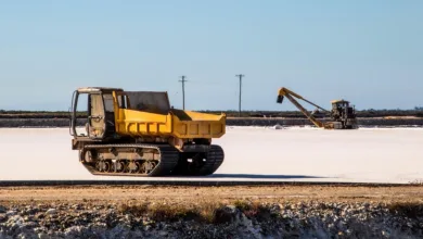 Litecoin auf der Kippe: Steht eine Korrektur bevor?