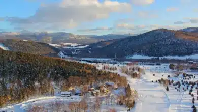 Zukunft von XRP: Chancen und Risiken im Blick behalten