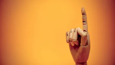 Bitcoin und Altcoins: Kursgewinne heben Märkte an