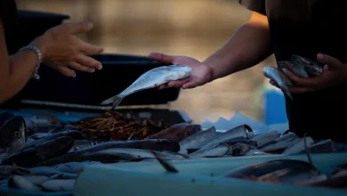 Bitcoin-Kurs unter Druck: Langzeitinvestoren verkaufen stark