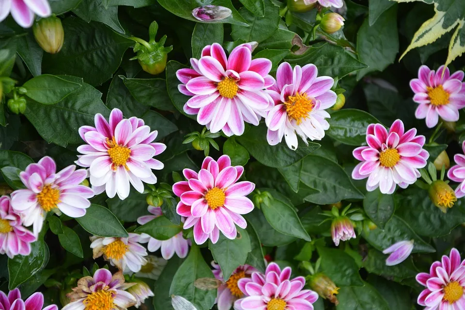 ETF-Emittenten investieren massiv in Bitcoin trotz Rekordkurs