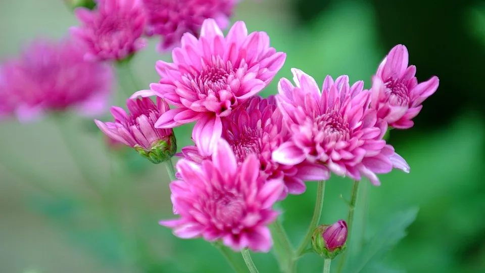 Bitcoin unter Druck: Trumps Zölle sorgen für Kursrückgang