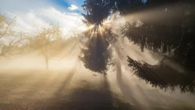 Trumps Handelskrieg trübt die Stimmung am Kryptomarkt