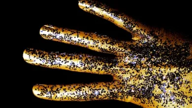 Kapitalabfluss bei Bitcoin-ETFs: Anleger zeigen Nervosität