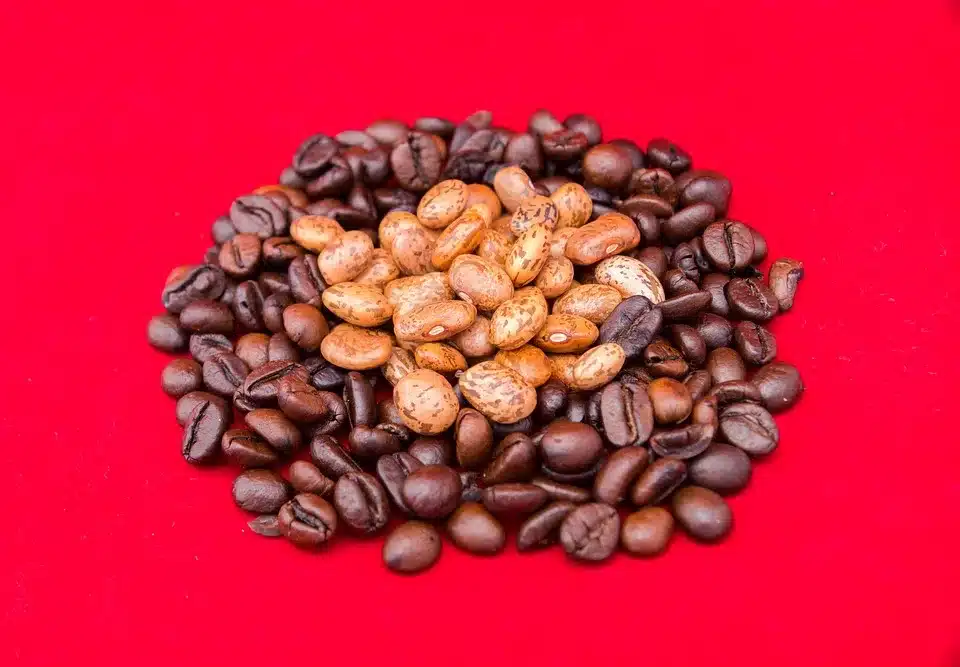 Xubuntu-Hack: Nutzer müssen Downloads jetzt überprüfen