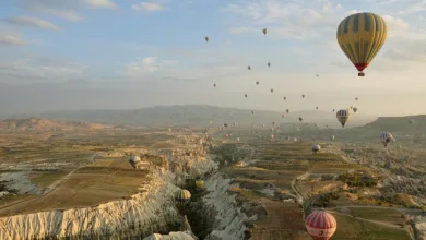 Trumps Krypto-Strategie: Über eine Milliarde Dollar Gewinn