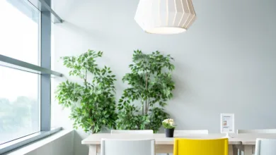 Hochleistungsblockchain ValueChain: SoDEX geht live