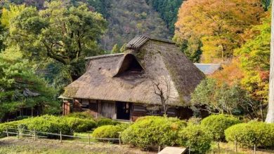 Japan bringt strenge Substanz gegen Krypto-Insiderhandel