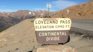 Trump Coin erreicht neue Höhen: Politische Einflüsse verstärken Rallye