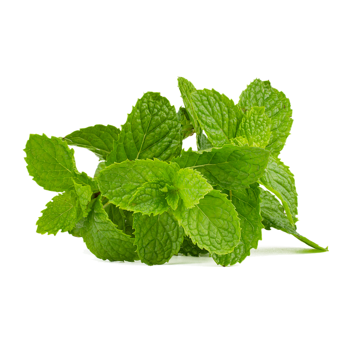 Mint Miner: Die sichere Möglichkeit für lokales Cloud Mining