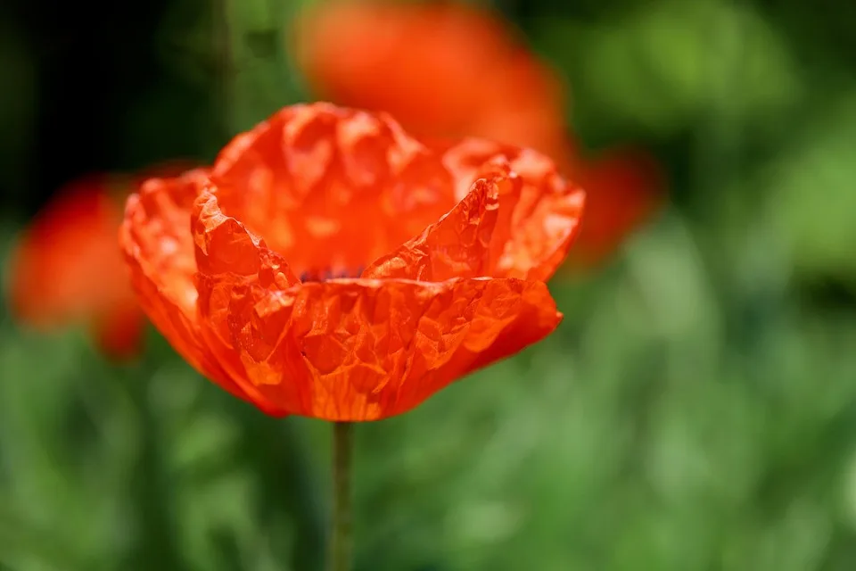 Rote Zahlen für Bitcoin-ETFs: Anleger ziehen Milliarden ab