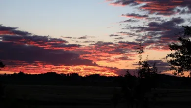 Kryptomarkt nach Liquidationen: Ein Neuanfang für Bitcoin