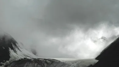 Der Aufstieg dezentraler Perpetual Exchanges in 2025