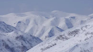 XRP vor möglichem Aufstieg: Amazon als Vorbild für die Zukunft