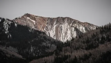 Coinbase: Strategischer Wandel hin zu robustem Finanzmodell