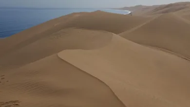 BAY Miner App: Einfaches Cloud Mining für alle Anleger