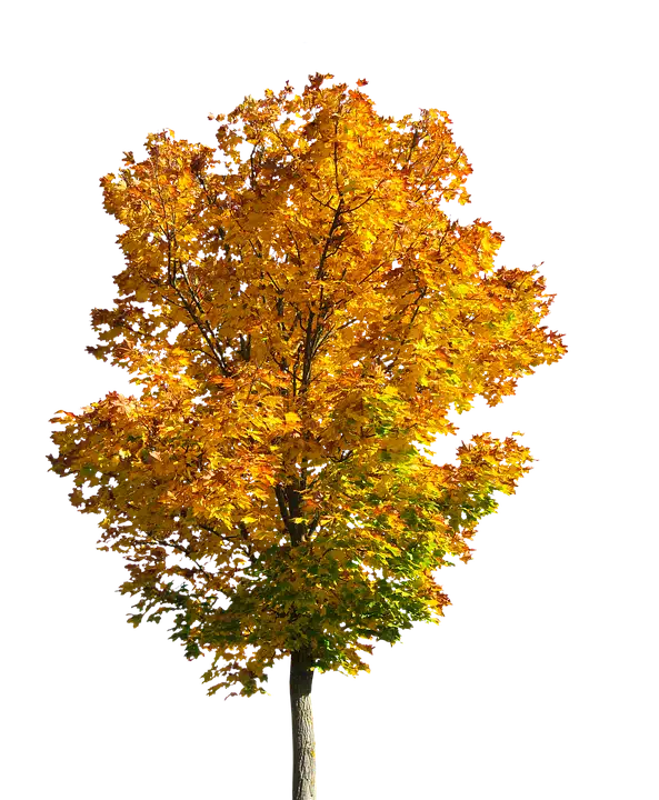 Oktober: Chance auf einen überraschenden Bitcoin-Uptober