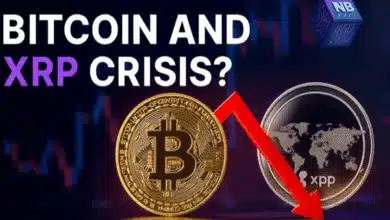 Kapitalflucht aus Krypto: Cloud-Mining als neue Chance