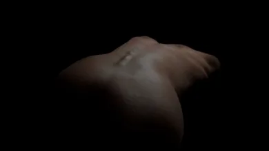 Krypto-Optimismus kehrt zurück: Bitcoin über 115.000 $