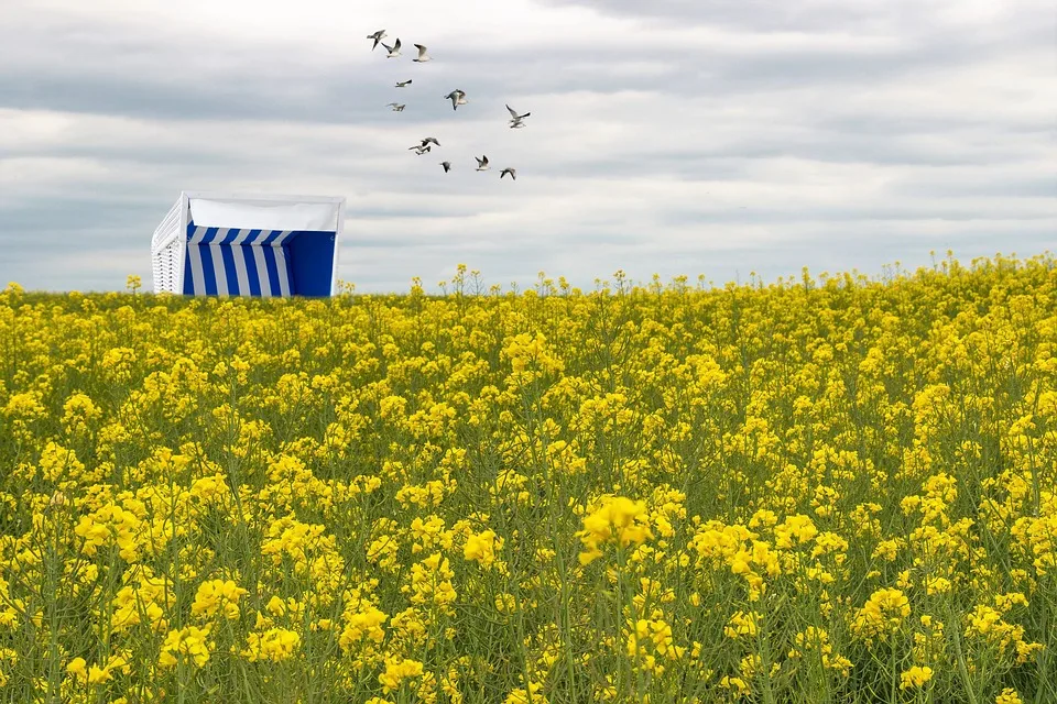 Revolut bringt Krypto-Funktionen nach Einschränkungen zurück