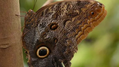 Kryptomarkt erlebt größte Liquidation aller Zeiten