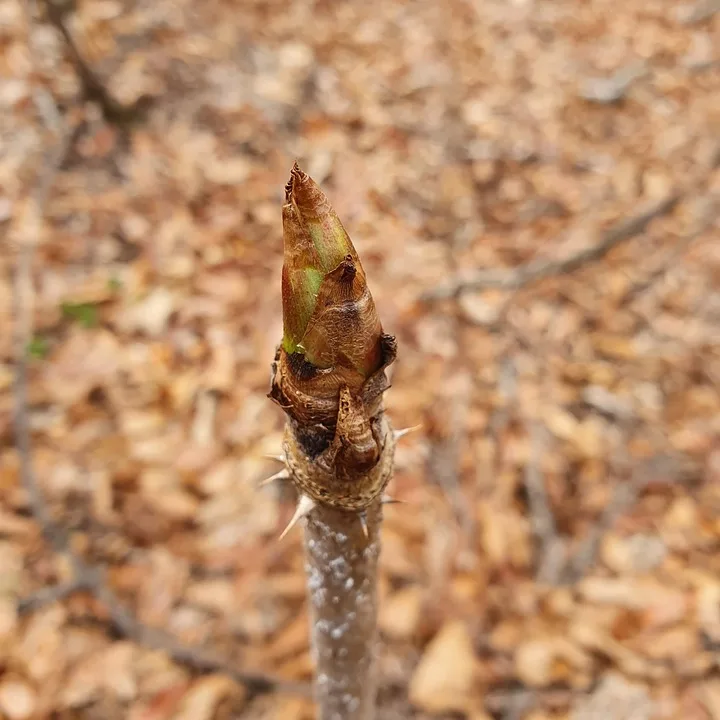 Ethereum überholt Bitcoin: Ein neues Kapitel am CME-Markt