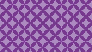 Bitcoin als digitales Gold: Chancen und neue Wege für Anleger