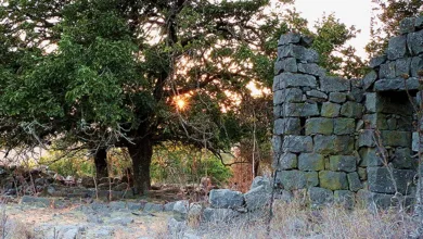 XRP-Kursrückgang: Aufbruch zu neuen Höhen in Sicht?