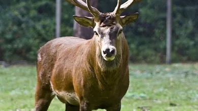 Krypto-Prop-Trading: Kapital und Gewinne clever nutzen