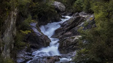 Kryptomarkt unter Druck: Bitcoin fällt vor Zinssitzung