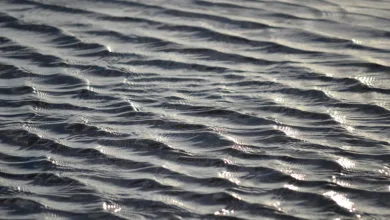 Ripple Swell 2025: Aufbruch in die Zukunft der Finanzen