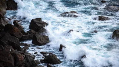 Ocean Protocol geht eigene Wege: Ein Neuanfang für OCEAN