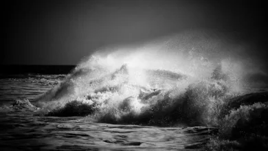 Markt-Turbulenzen: Black Friday Crash sorgt für Millionenschaden