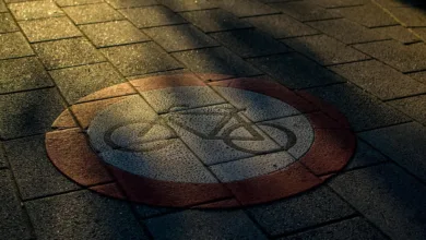 Meme-Coins im Aufwind: Neue Chancen und Trends für Anleger